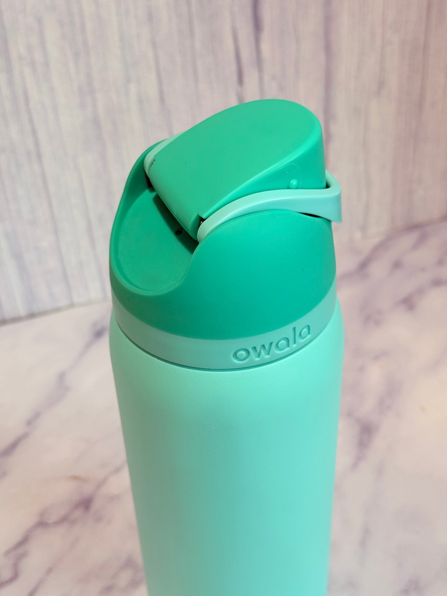 Owala FreeSip Stainless Steel Water Bottle 32oz- Freeze The Day