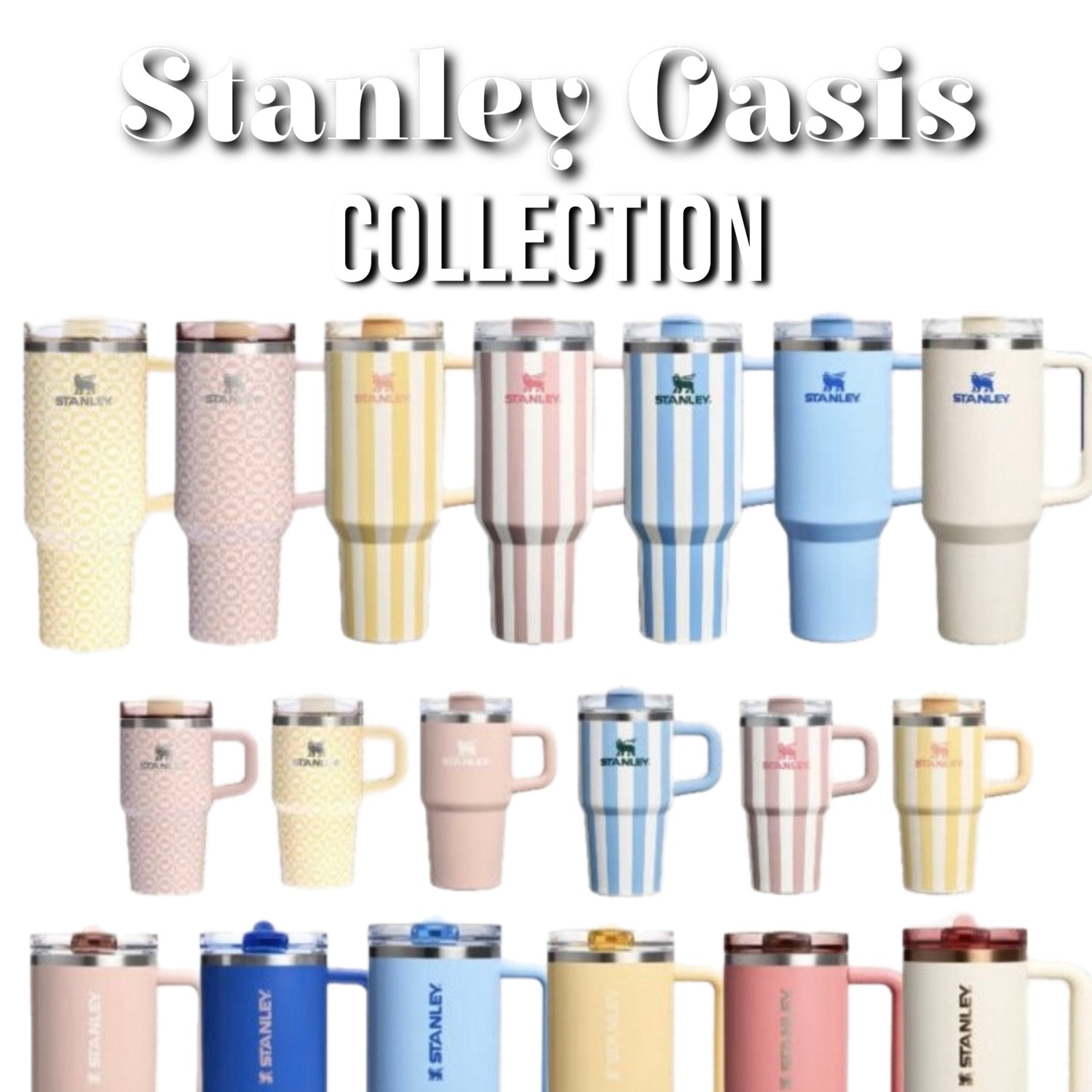 Stanley x Oasis