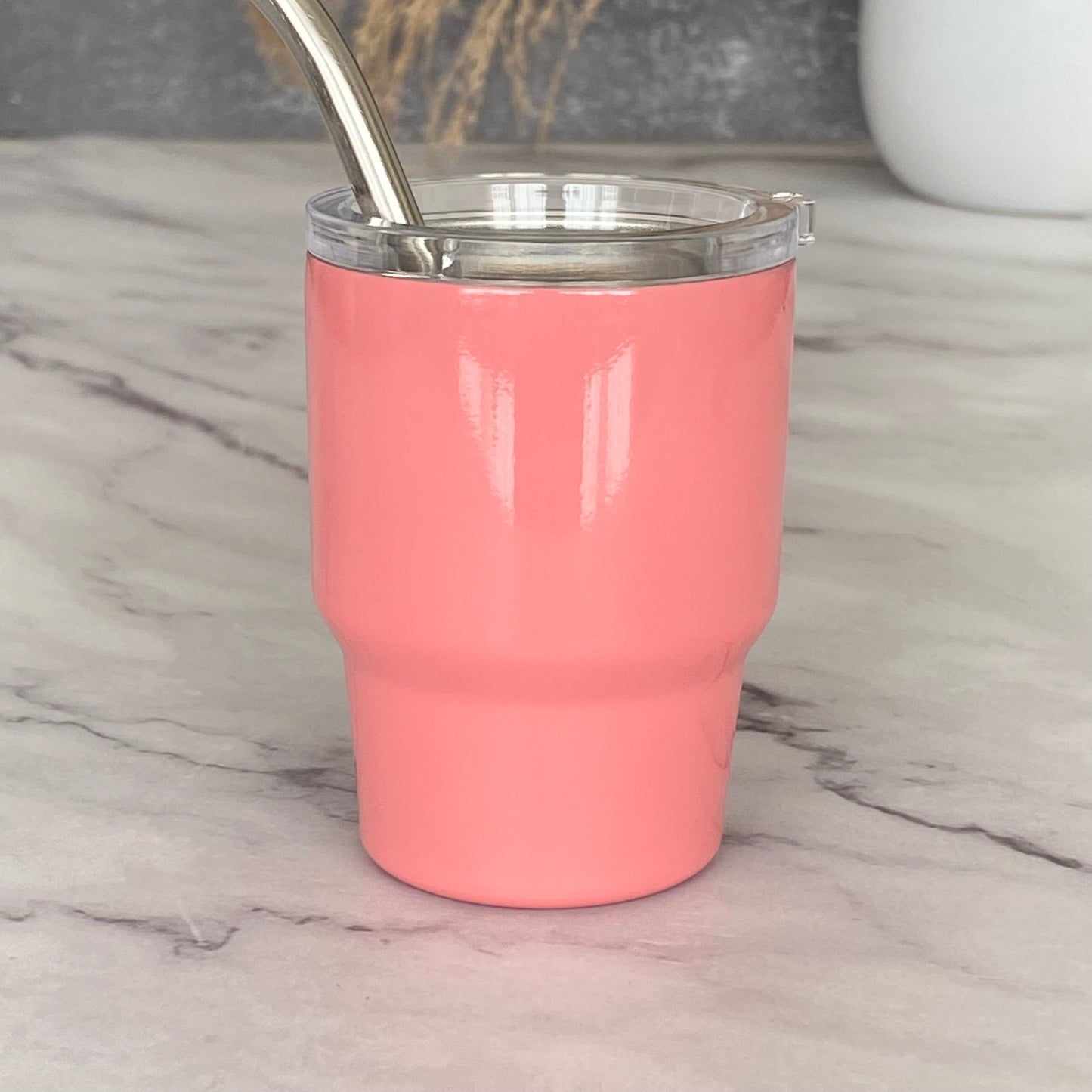 New! Mini Stainless Steel Tumbler with Straw