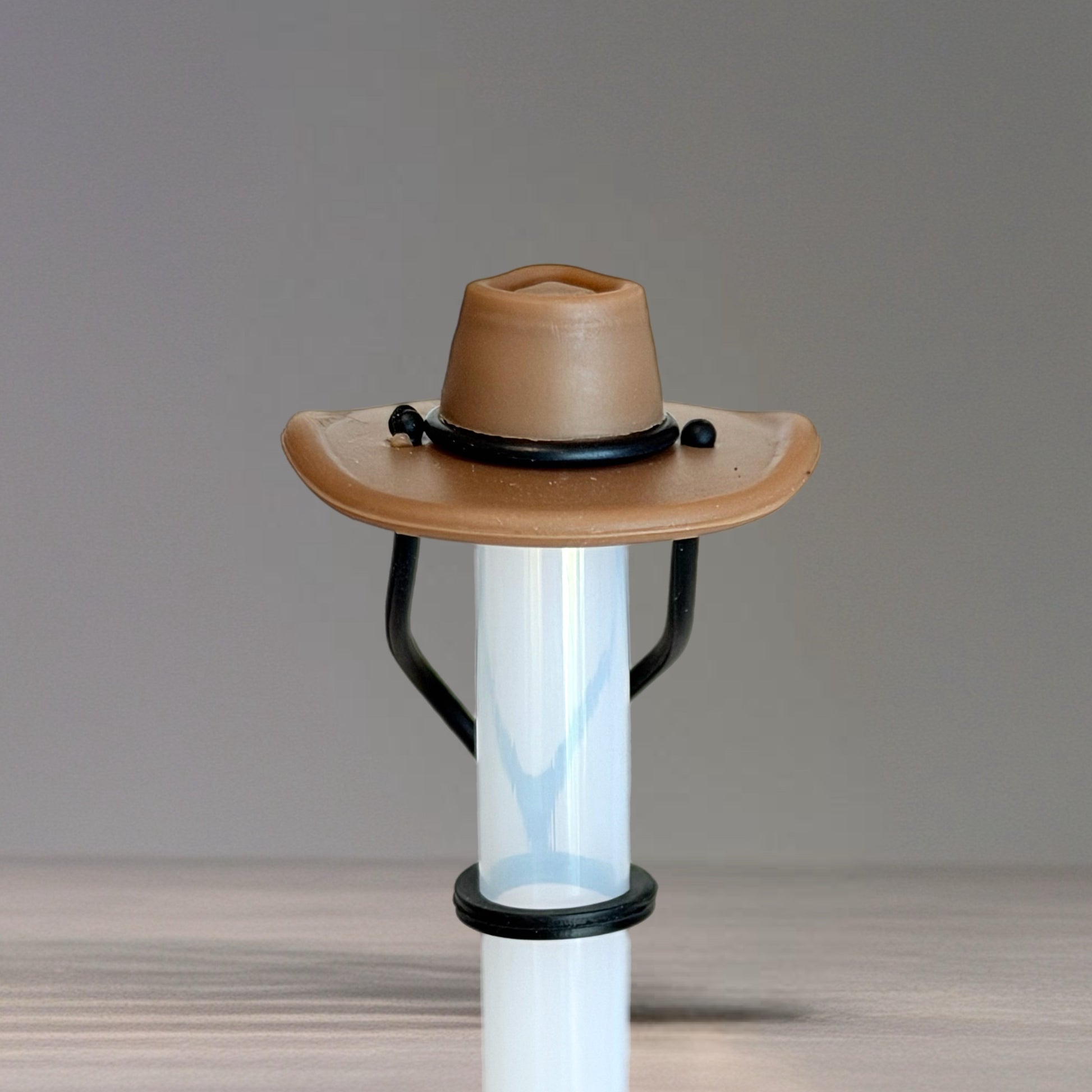 Kacey Musgraves Stanley Cowgirl Hat Straw Topper