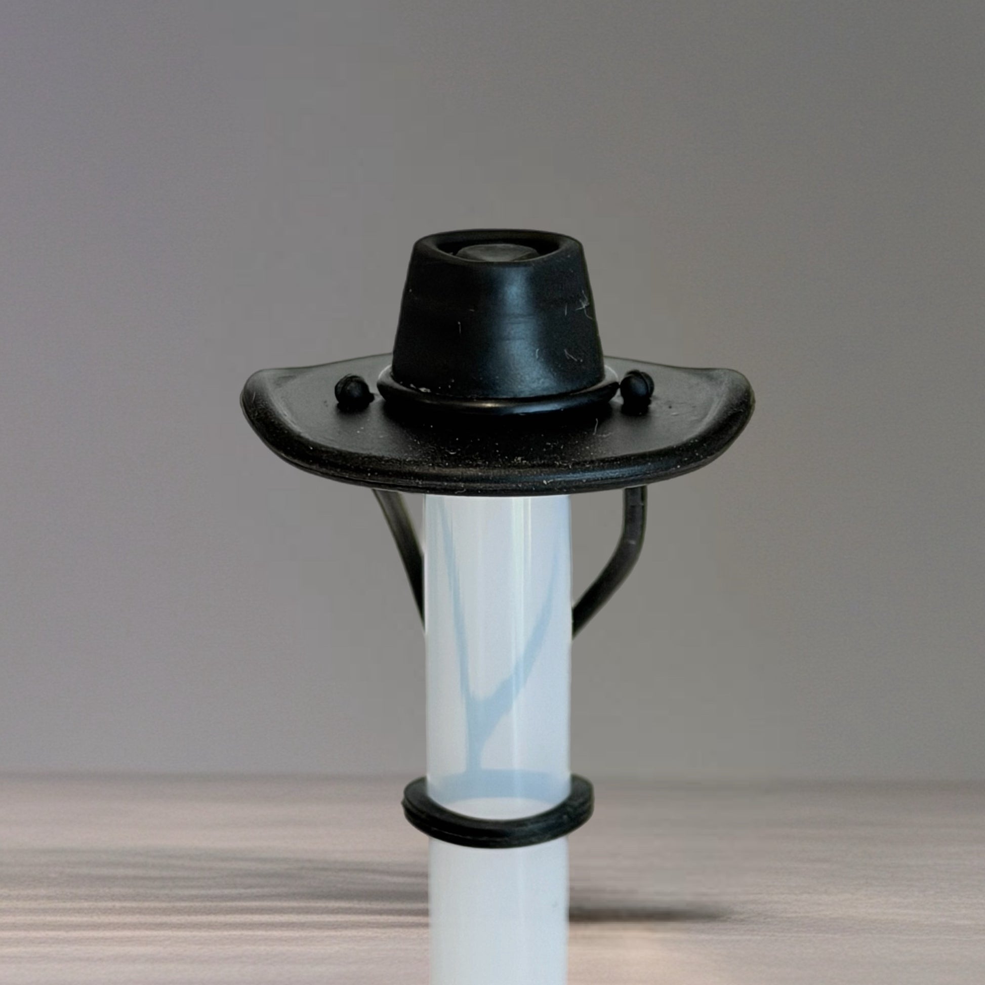 Kacey Musgraves Stanley Cowgirl Hat Straw Topper