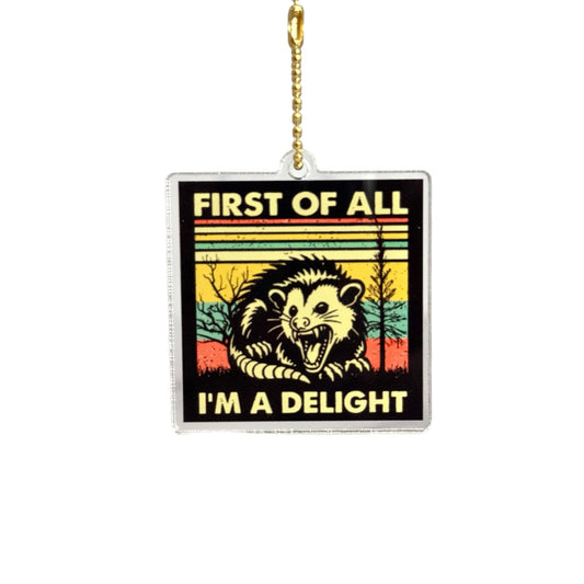 Opossum Charm Delight- Tumbler Handle Charm for HydroJug